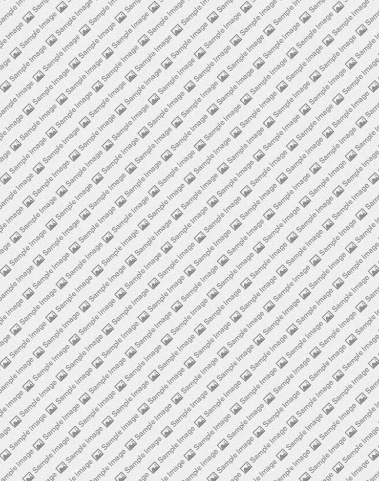 Above - Team Highlight